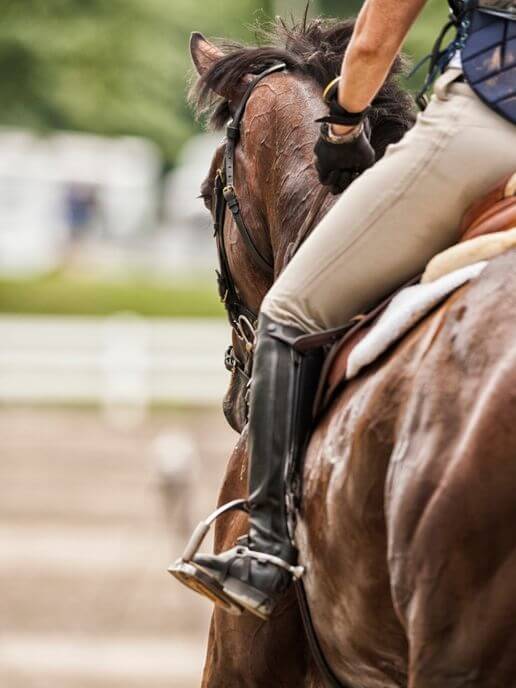 osteopathie-equine-herault-gard