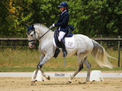 osteopathie-equine-boiterie