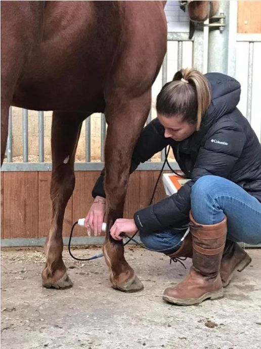 tecar-therapie-cheval